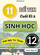 Tuyển tập 11 Đề thi cuối kì 2 năm học 2025-2026 môn Sinh học 12 KNTT (Kèm đáp án)